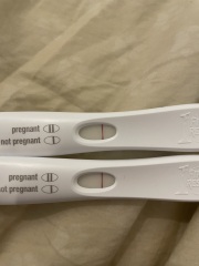Potentially pregnant or line eyes