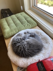 What perfectly ordinary places have you found your cat?