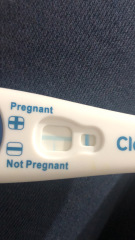 Clear blue test. Evap line or positive