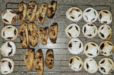 Poncetastic Christmas 2024