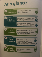 August 2025 Due Dates Club