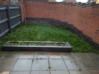 Astoturf my poorly grown grass?