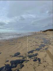 Ukraine Invasion: Part 53