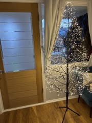 The Christmas trees in next window.