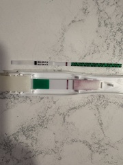 Early detective test help, positive or evap?