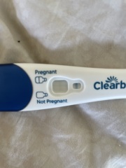 Potentially pregnant or line eyes