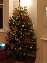 Show us your Christmas trees