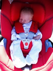 Nightmare with Cybex Aton B?