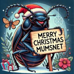 The Bluestocking - the one with the Christmas stocking