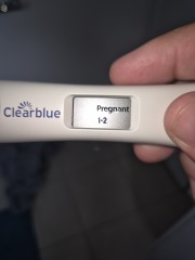 Positive pregnancy test?