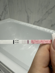FET #5 5dp5dt BFP?