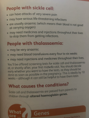 August 2025 Due Dates Club