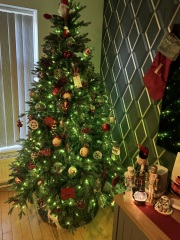 Show us your Christmas trees