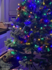 Tinsel, Glitter and Baubles - the Excellent Cats prepare to knock Everything off your Christmas Tree