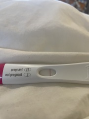 Potentially pregnant or line eyes