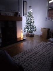 Cool White Lights indoors  did I make a mistake?