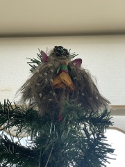 Show us your Christmas trees