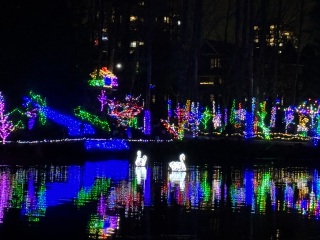 Come and tell us your dull and unexciting news 32: Calmly through the day