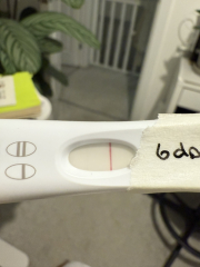 FET #5 5dp5dt BFP?