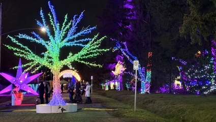 Come and tell us your dull and unexciting news 32: Calmly through the day