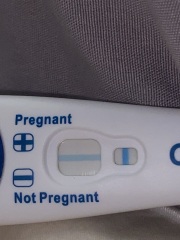 Is this positive or Evap?