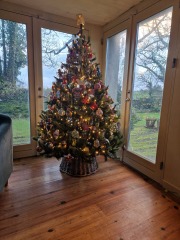 Show us your Christmas trees