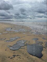 Ukraine Invasion: Part 53