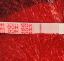Evap lines / indents?