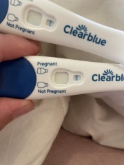 Potentially pregnant -help ! Line eyes