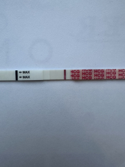 December TTC Support Group