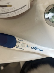 Clear blue test. Evap line or positive