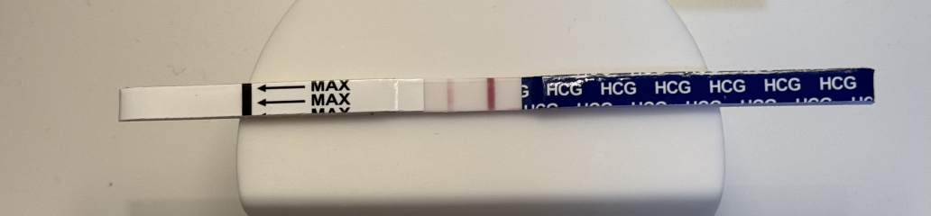 V early pregnancy
