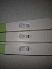 Positive pregnancy test?