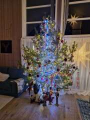 The Nigel Slater Christmas Chronicles Readalong 2024 Part 2