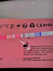 Is this pregnancy test positive?