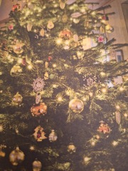 The Nigel Slater Christmas Chronicles Readalong 2024 Part 2