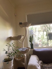 What perfectly ordinary places have you found your cat?