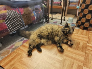 Any Witches here? Part 20