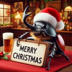 The Bluestocking - the one with the Christmas stocking