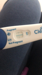 Clear blue test. Evap line or positive