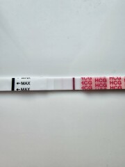 When did everyone get their first clear positive test?