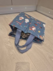 🎄🎄The official Christmas Fridge Thread🎄🎄