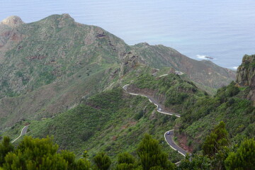 To think the canary isles are tacky?