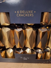 Poncetastic Christmas 2024