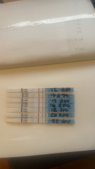 December TTC Support Group