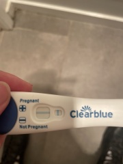 Potentially pregnant -help ! Line eyes