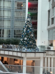 Come and tell us your dull and unexciting news 32: Calmly through the day