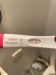 Potentially pregnant or line eyes