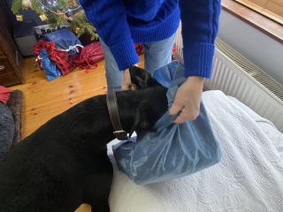 Autistic child Christmas