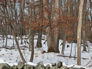 Come and tell us your dull and unexciting news 32: Calmly through the day